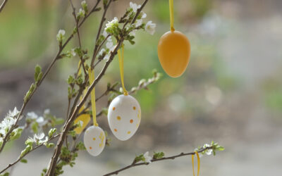 Pâques : Fête, fun et chasse aux oeufs !