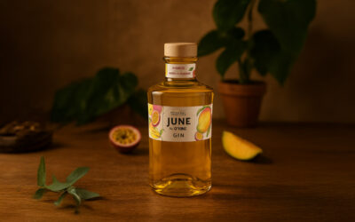 JUNE Mangue & Fruit de la Passion : le gin infusé qui sent bon l’été