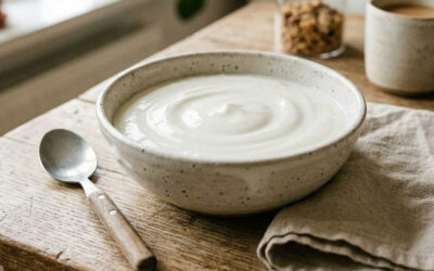 SKYR, le superfood islandais